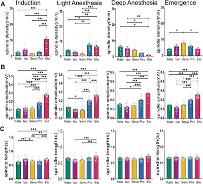 Anesthetic spindles serve as EEG markers of the depth variations in anesthesia induced by multifarious general anesthetics in mouse experiments